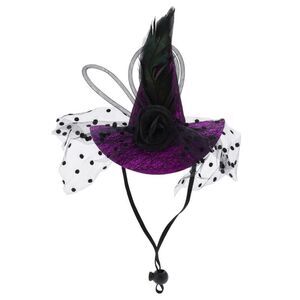 Halloween Pet Headwear 5.12"x5.91" Purple